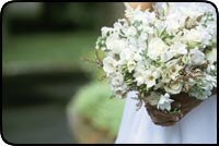 Wedding picture